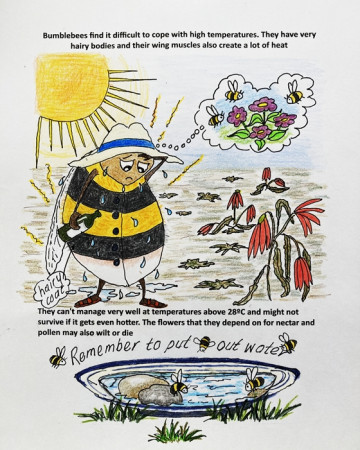 Bee poster - provide water for bees and other creatures